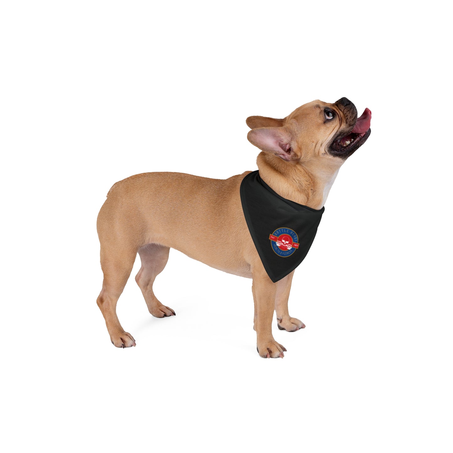 OG Logo BR Pet Bandana