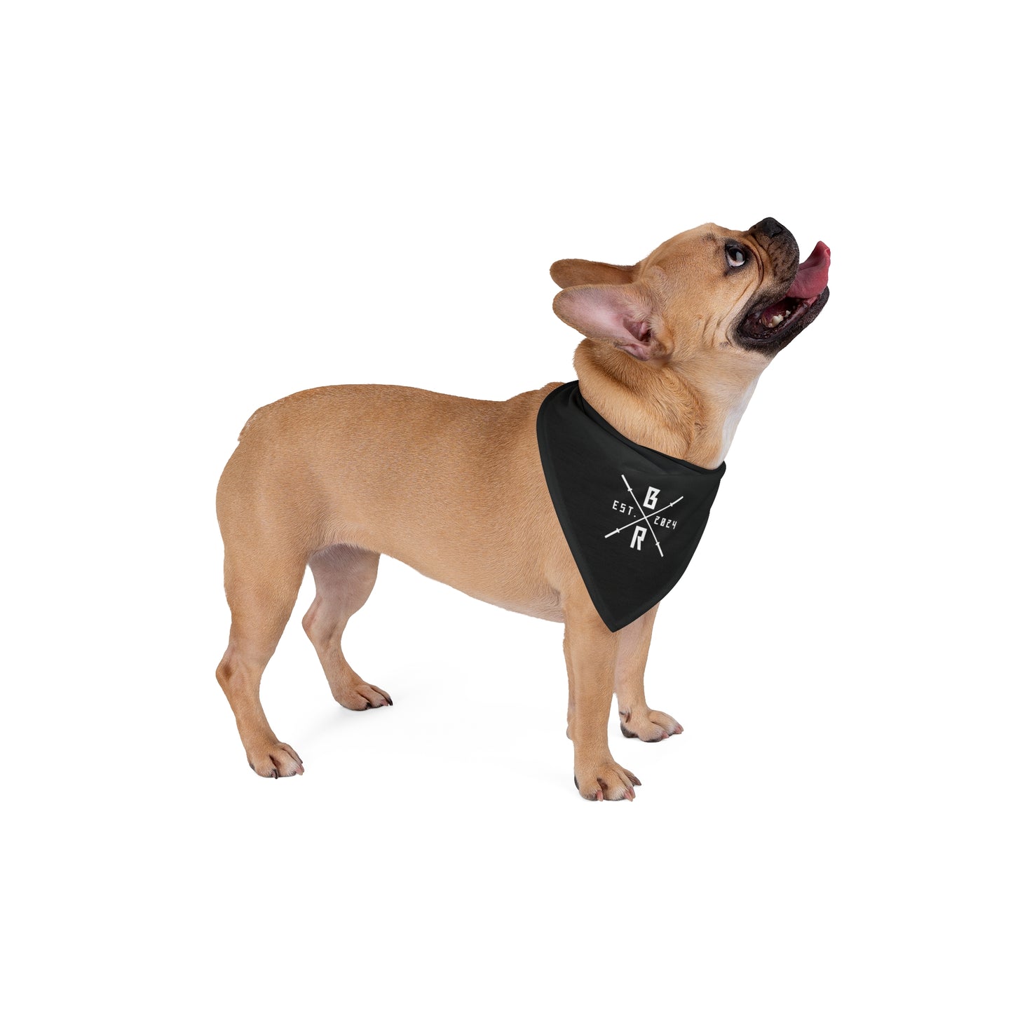 Cross Logo BR Pet Bandana
